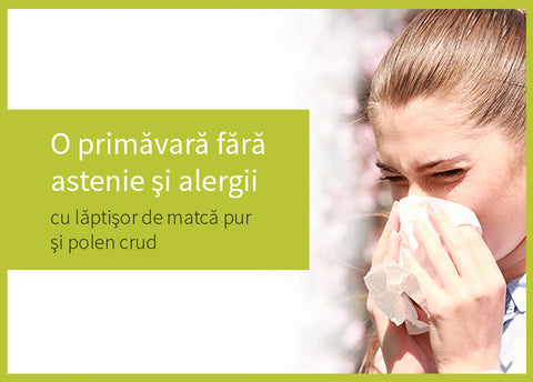 Remedii apicole pentru astenia de primavară și rinită alergică