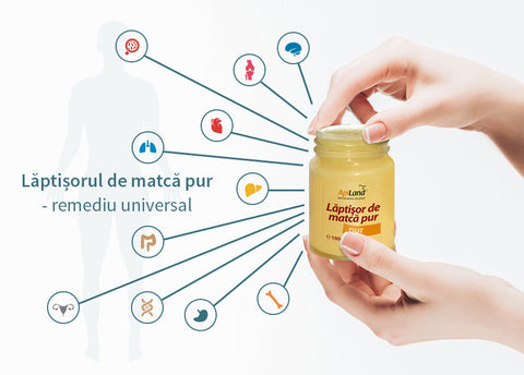 Cele 8 sisteme vitale ale organismului pe care lăptișorul de matcă pur le susține