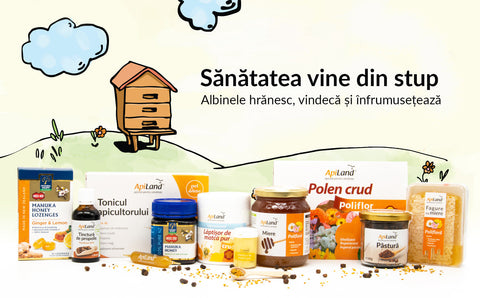 Produsele apicole -  ameliorează sau nu problemele de sănătate ale vârstnicilor
