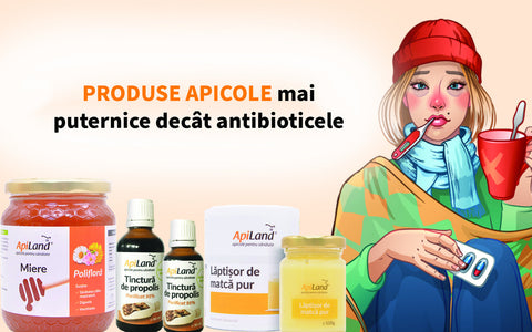 Miere, propolis și lăptișor de matcă pur pentru tratarea bolilor respiratorii