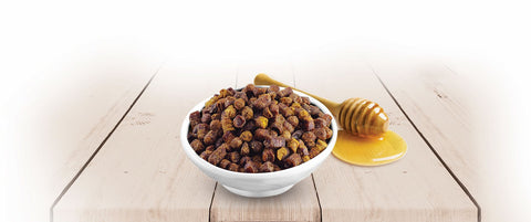 Detoxifiere naturală cu Păstura în miere ApiLand!