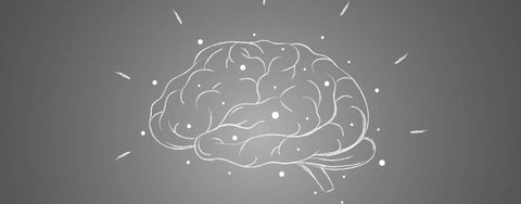 Memoria de lungă și de scurtă durată: ce este fiecare și cum pot fi îmbunătățite la orice vârstă