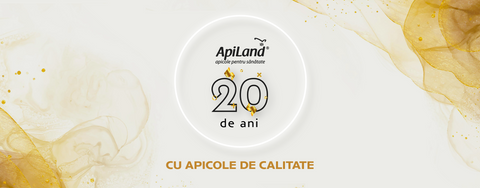 Sărbătorim 20 de ani de activitate