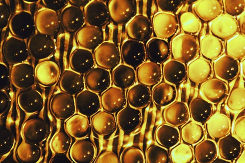 Polenul crud monoflor, pentru sănătate și vigoare