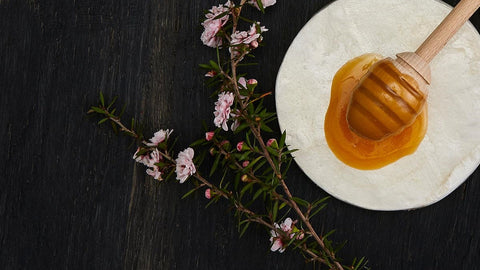 Distribuția produselor Manuka Health în România prin ApiLand