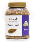 Polen crud de prun 2
