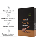 Propolis purificat 95% - 10 plicuri x 10g 2