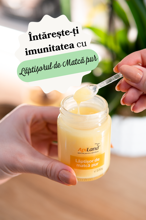Promoții produse apicole ApiLand