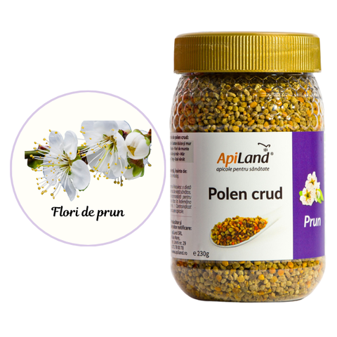 Polen crud de prun 3