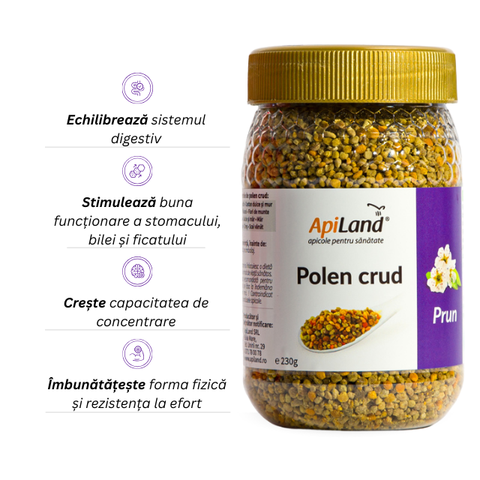 Polen crud de prun 2