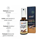 Tinctură de propolis purificat 95% spray ECO 2