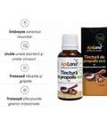 Tinctură de propolis purificat 95% ECO - 30 ml 2