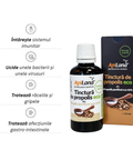 Tinctură de propolis purificat 95% ECO - 50 ml 2