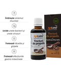 Tinctură de propolis purificat 95% - 50 ml 2