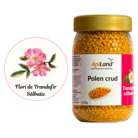Polen crud de Trandafir Sălbatic 3