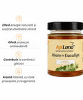Miere crudă Gourmet de Eucalipt, aromă intensă exotică meditaraneană, aliat împotriva răcelilor, 300g 2