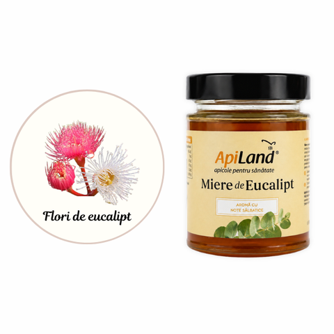 Miere crudă Gourmet de Eucalipt, aromă intensă exotică meditaraneană, aliat împotriva răcelilor, 300g 3