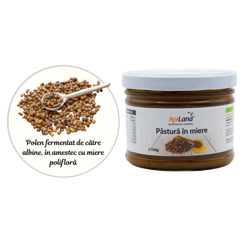 Păstură în miere naturală Apiland 500g - Fortifiant natural 3