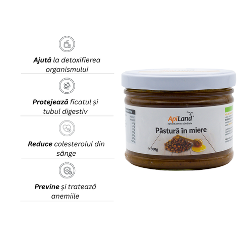 Păstură în miere naturală Apiland 500g - Fortifiant natural 2