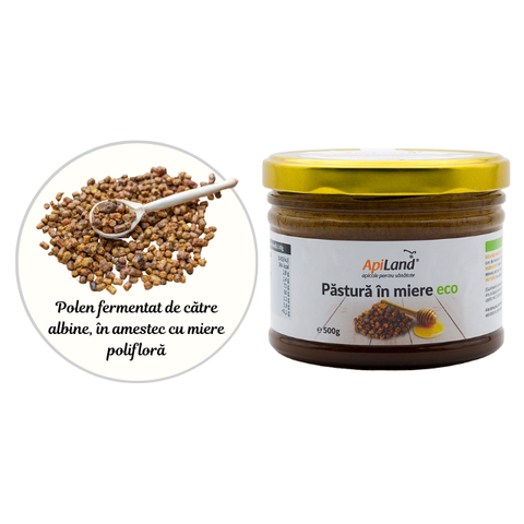 Păstură în miere Apiland ECO 500g, pentru protecție imunitară 3