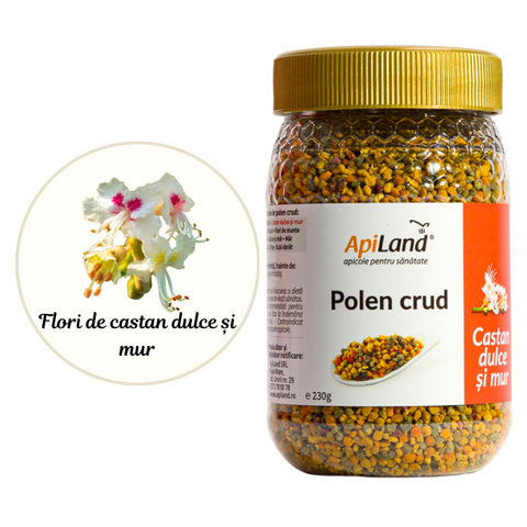 Polen crud castan dulce și mur 3